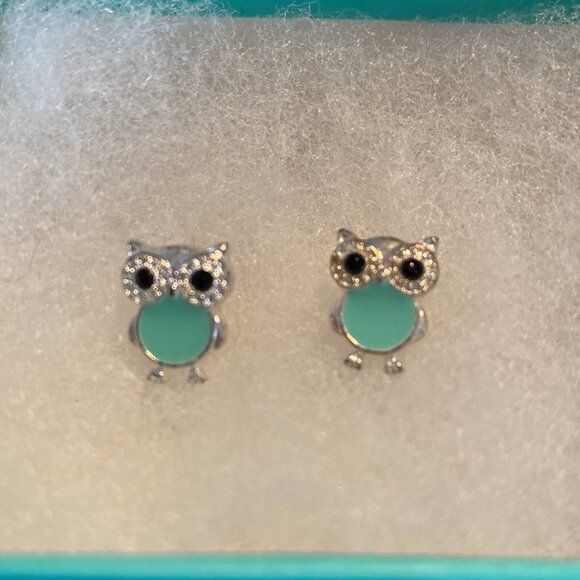 Turquoise Owl pierced earrings - Picture 3 of 3